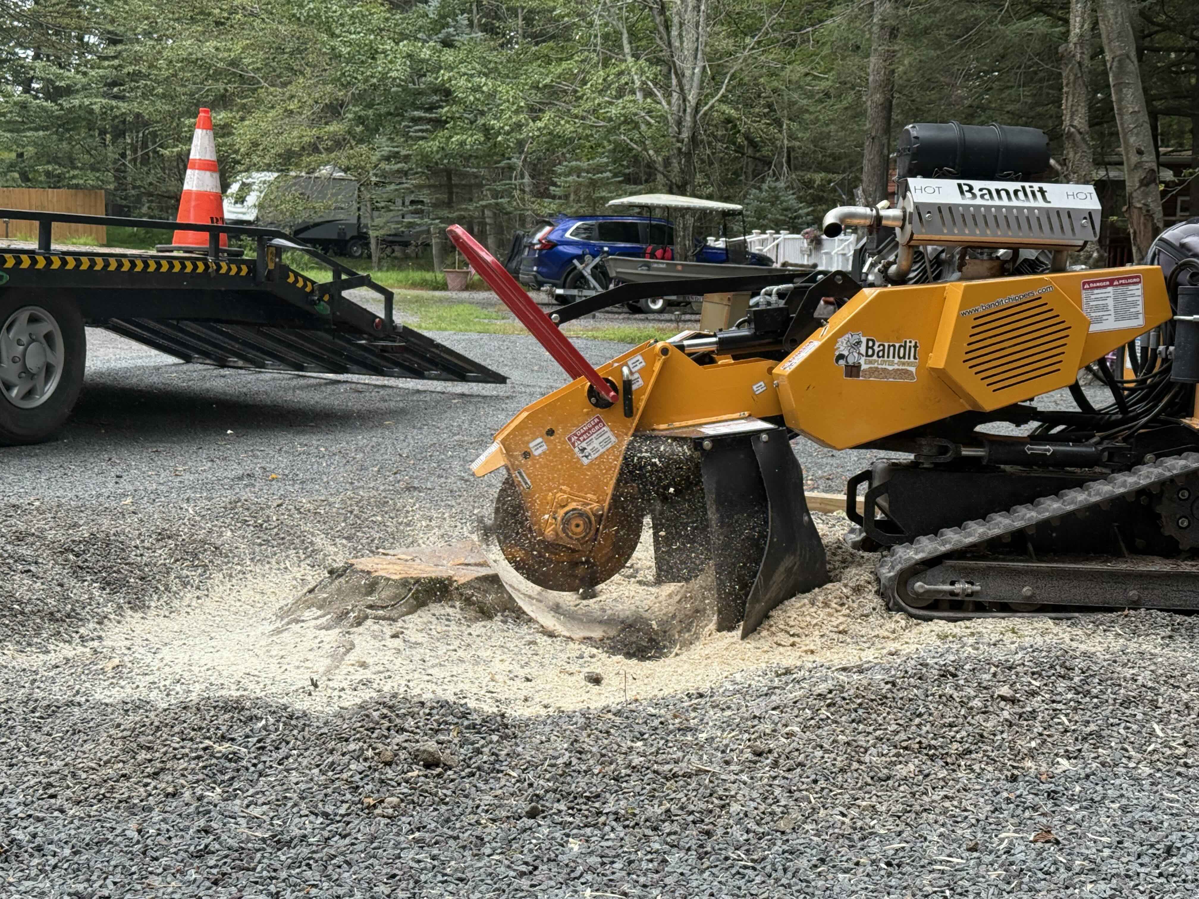 Stump Grinding